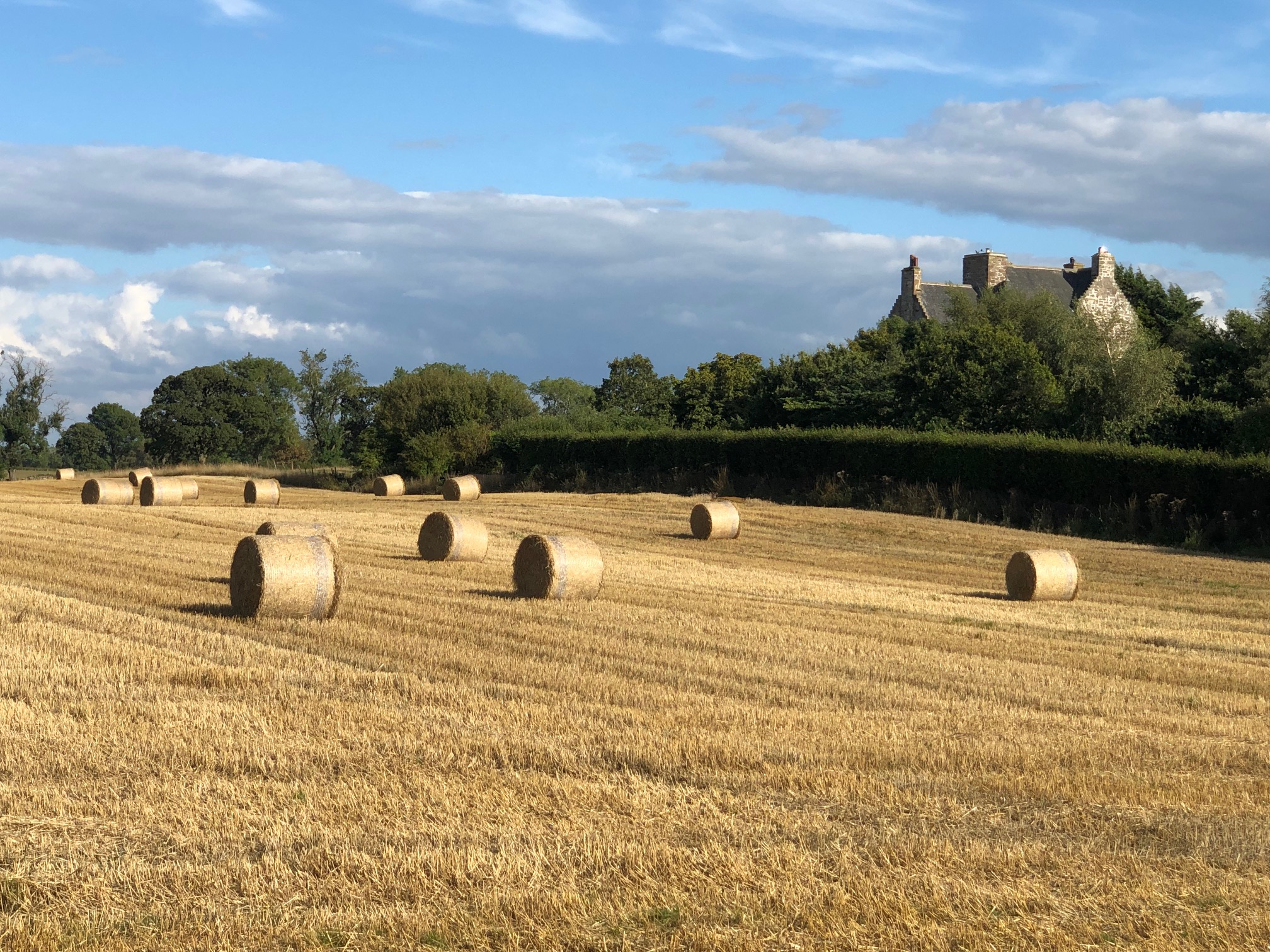 Harvest: by Ochiltree